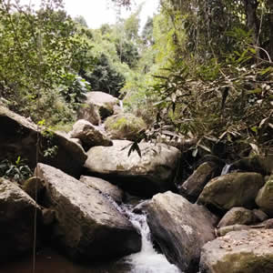 Proyecto Terra Mariae