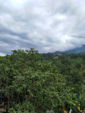 Terra Mariae Cunidamarca