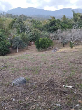 Proyecto Terra Mariae
